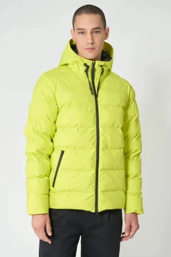 Best Hrom Hombre Plumíferos