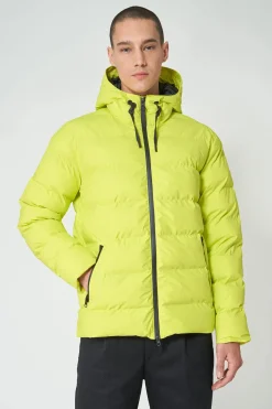 Best Hrom Hombre Plumíferos