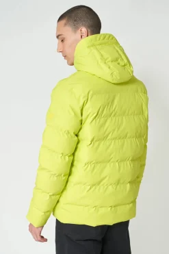 Best Hrom Hombre Plumíferos