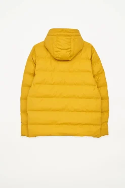 Clearance Hrom Hombre Plumíferos