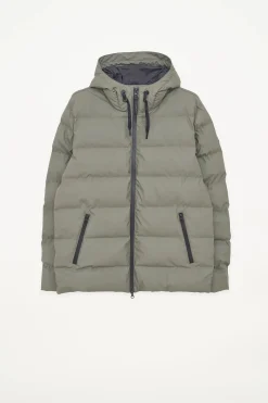 New Hrom Hombre Plumíferos