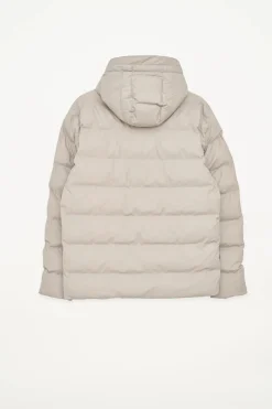 Online Hrom Hombre Plumíferos